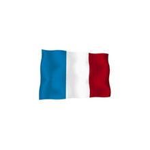 Знаме Франция 16х22